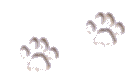 pawprint.2gif.gif (2170 bytes)