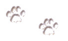 pawprint.gif (2165 bytes)