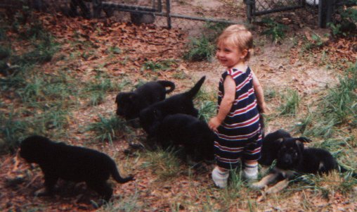 pups2.jpg (45726 bytes)