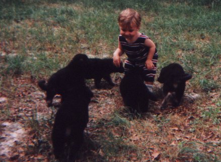 pups6.jpg (38665 bytes)